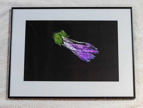 Fotografie artistiche - fotografie,