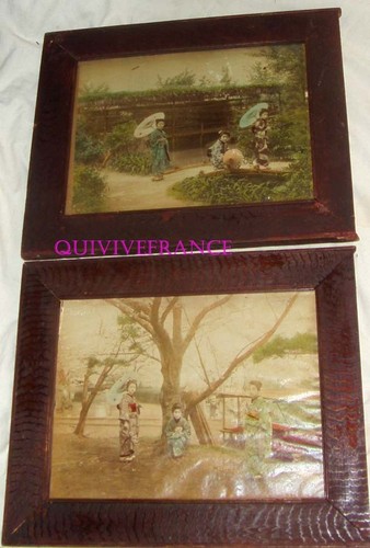 Foto albuminate colorate - albuminate,