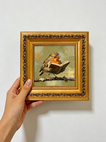 Affascinante robin bird - affascinante,