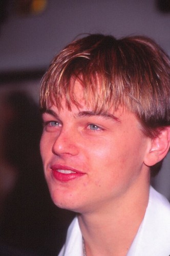 Dia leonardo dicaprio - dia,