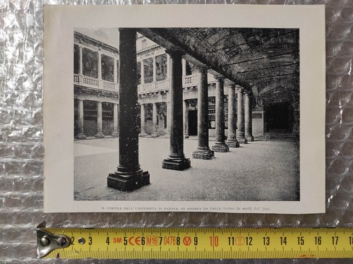 Padova 1925 università andrea - 1925,