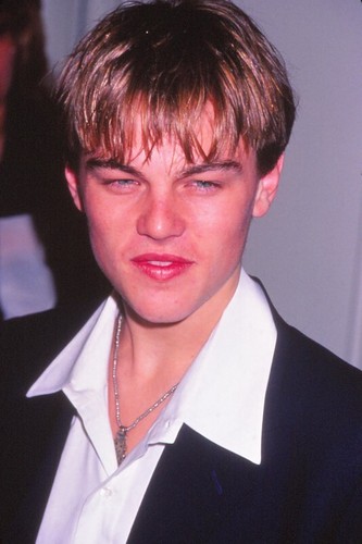 Dia leonardo dicaprio - dia,